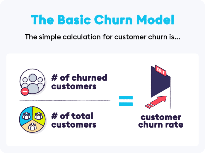 Understanding Customer Churn