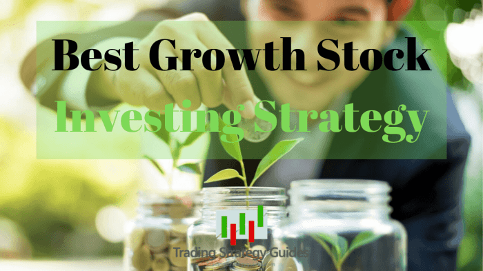 Growth stock strategies