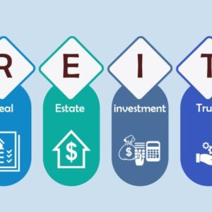 Investing in real estate investment trusts (REITs)